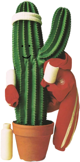 Kaktus-Figur mit Windbreaker über dem Arm und Wasserflasche